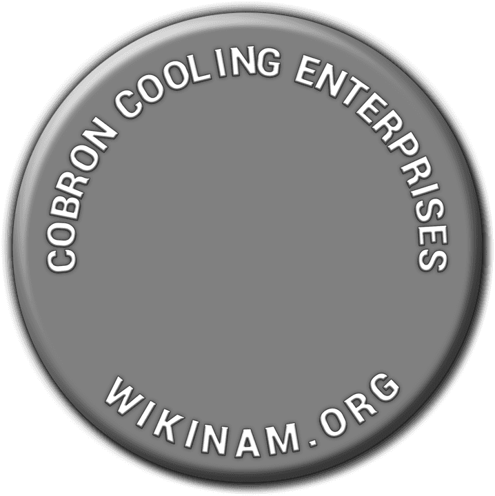 Cobron Cooling Enterprises - Air Conditioning Motor Vehicle in Windhoek, Namibia