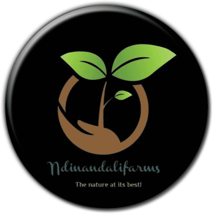 NdinaNdali Farms - Trailer Hire in Oshakati, Namibia